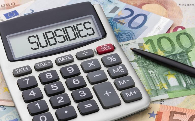 Subsidiefraude